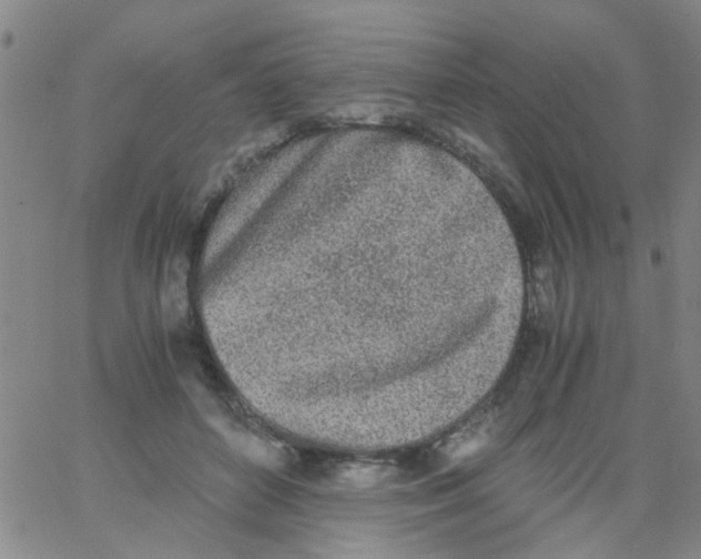 X0000062670504200601181904