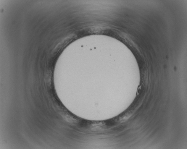 X0000062670505200601181904