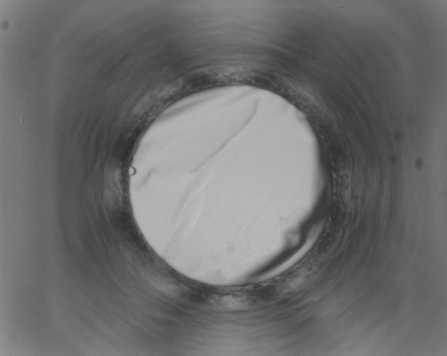 X0000062670506200601181904