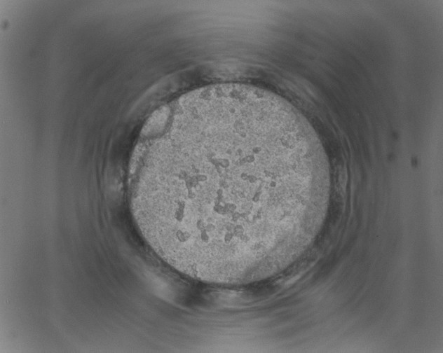 X0000062670507200601181904