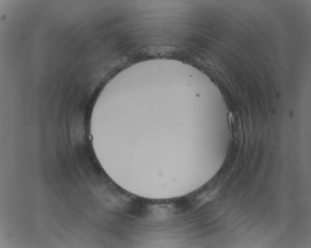 X0000062670508200601181904