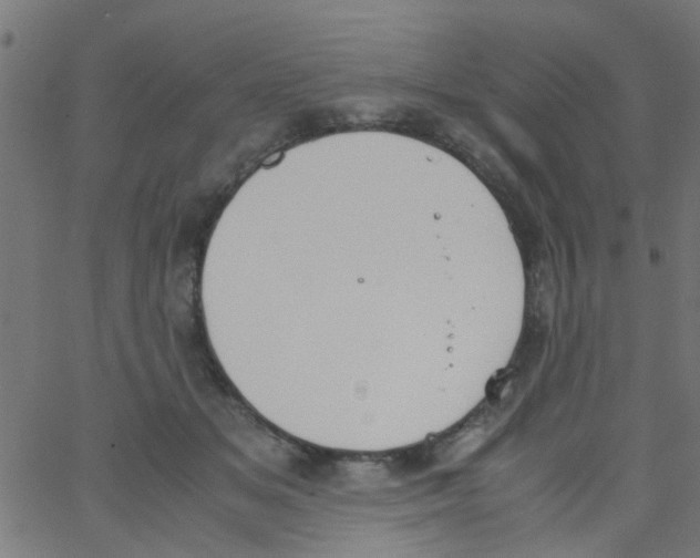 X0000062670509200601181904