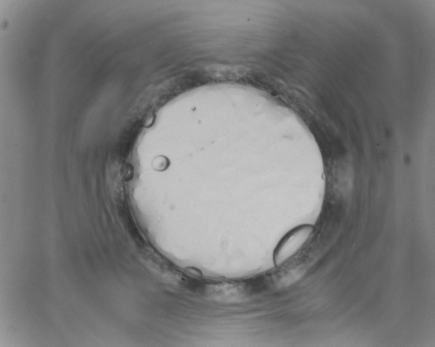 X0000062670511200601181904