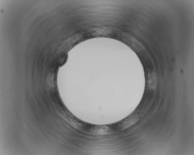 X0000062670514200601181904