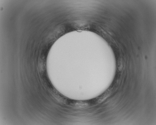 X0000062670515200601181904