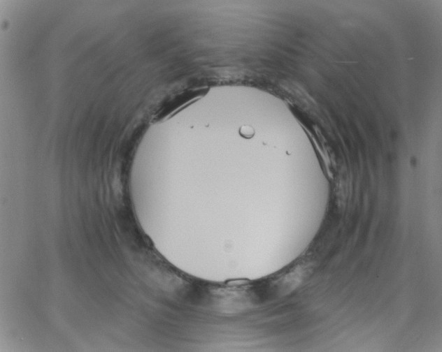 X0000062670516200601181904