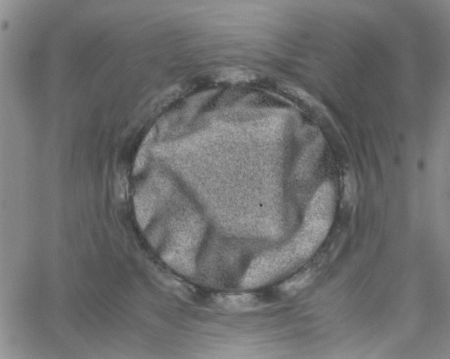 X0000062670517200601181904