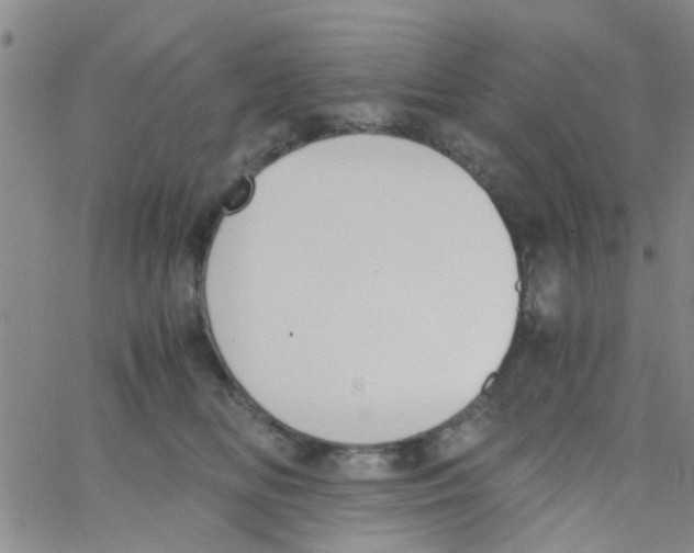 X0000062670518200601181904