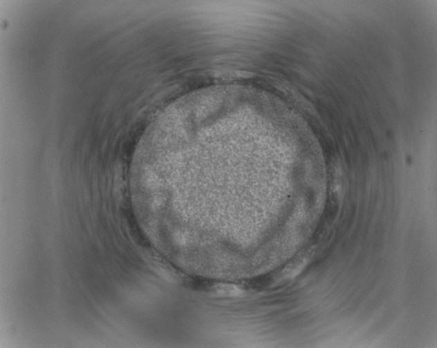 X0000062670519200601181904