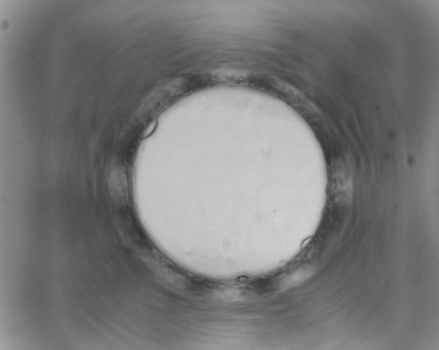 X0000062670523200601181903