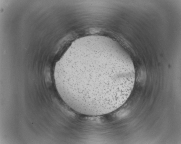 X0000062670524200601181903