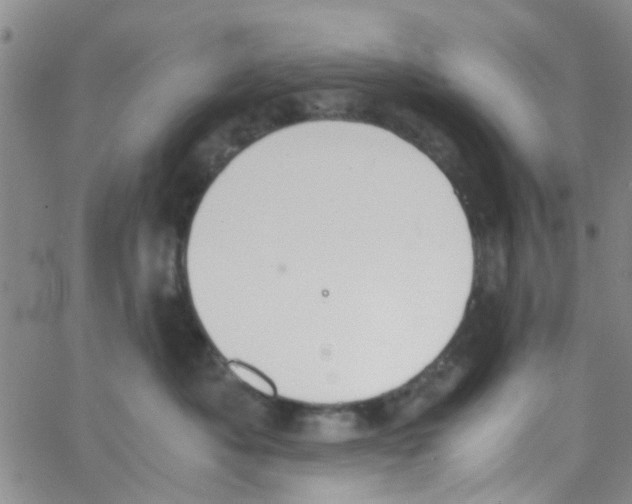 X0000062670525200601181903