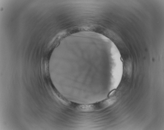 X0000062670526200601181903