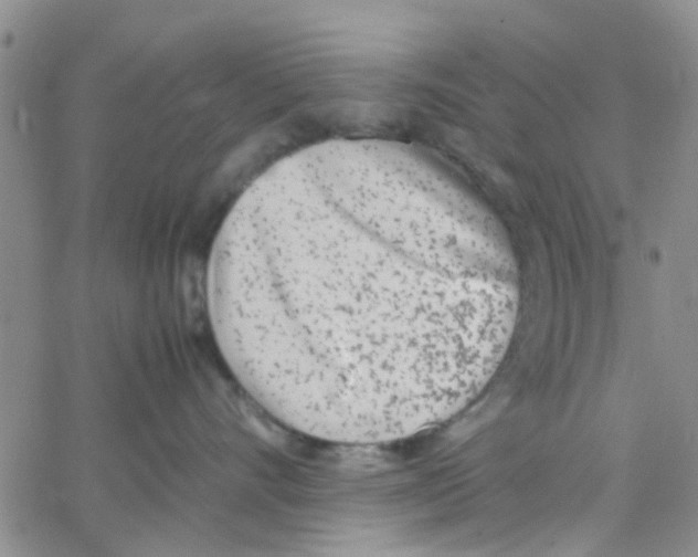 X0000062670528200601181903