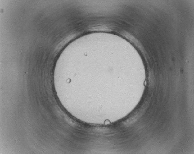 X0000062670529200601181903