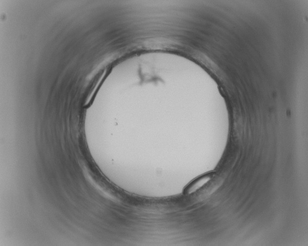 X0000062670530200601181903