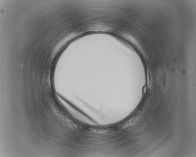 X0000062670531200601181903