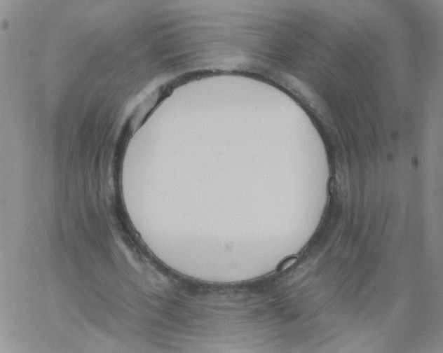 X0000062670532200601181903