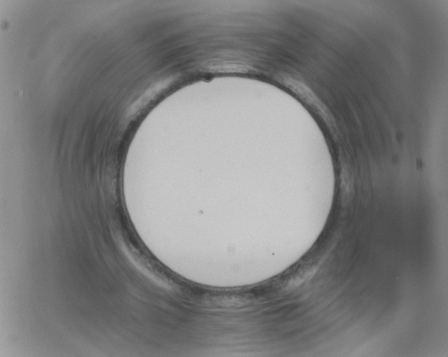 X0000062670533200601181903