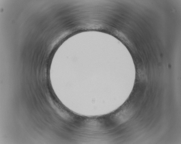 X0000062670534200601181903