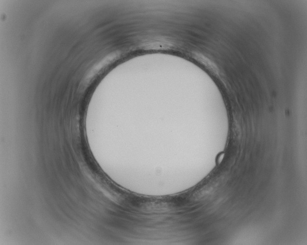 X0000062670535200601181903