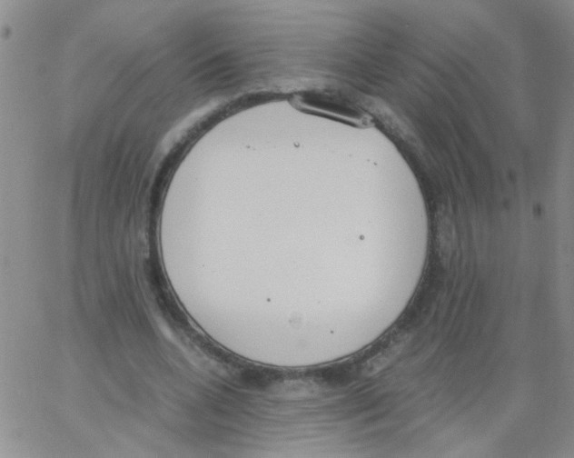 X0000062670536200601181903