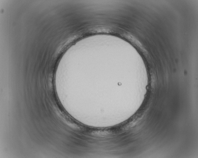 X0000062670537200601181903