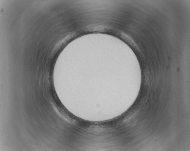 X0000062670538200601181903