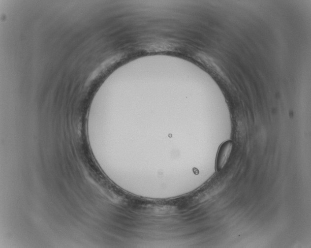 X0000062670539200601181903