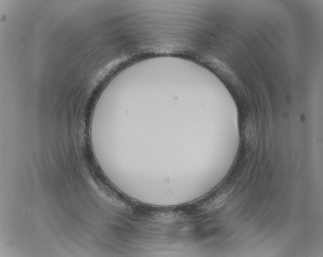 X0000062670540200601181903