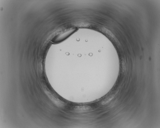 X0000062670541200601181903