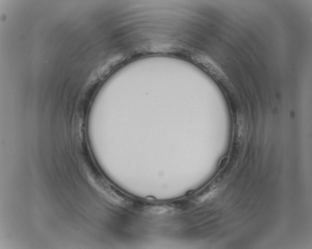 X0000062670542200601181903