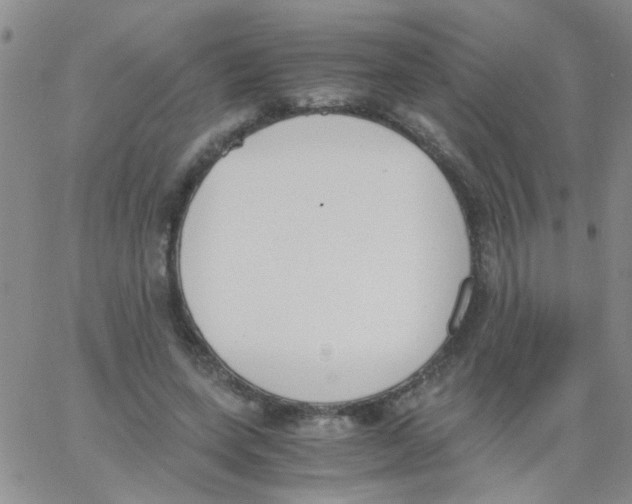 X0000062670543200601181903