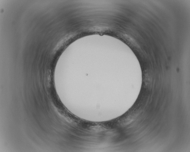 X0000062670544200601181903