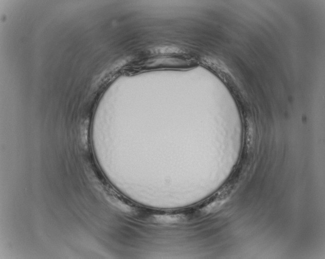 X0000062670545200601181903