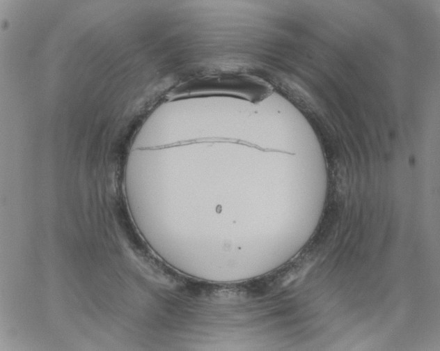 X0000062670546200601181903