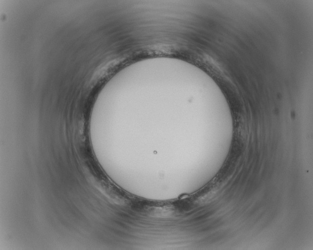 X0000062670548200601181903