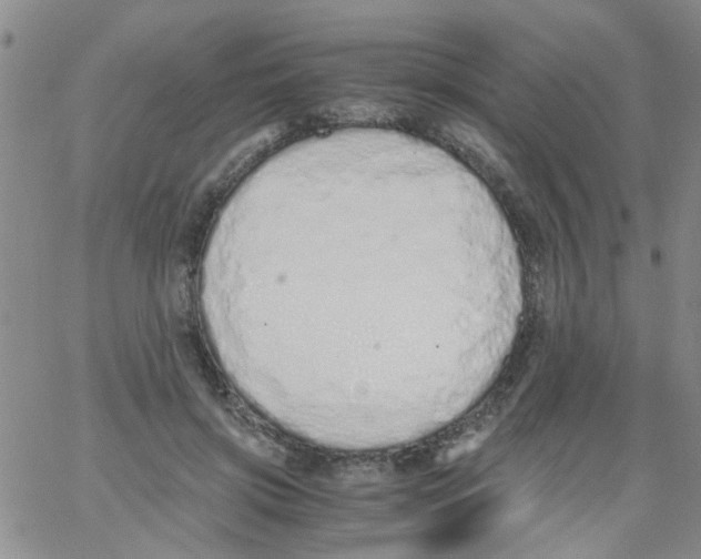 X0000062670549200601181903