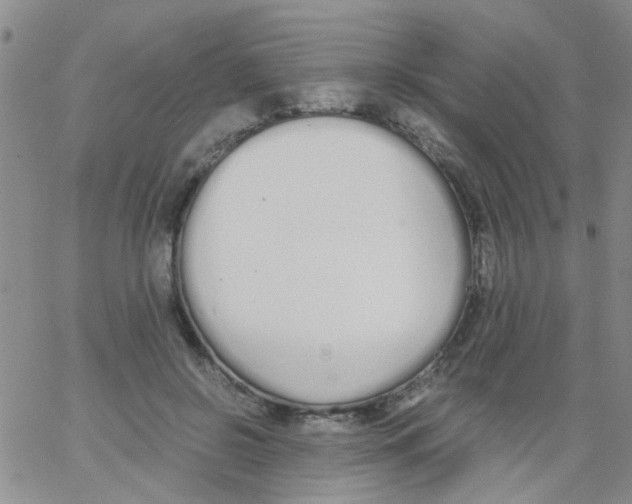 X0000062670550200601181903