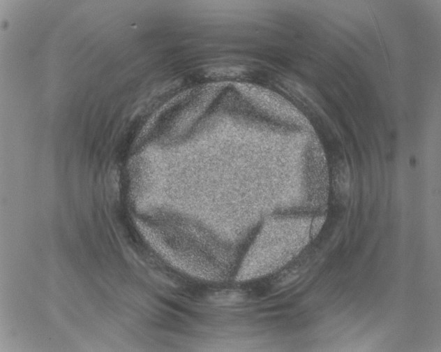 X0000062670551200601181903