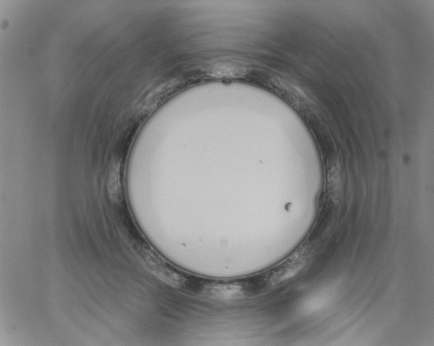 X0000062670554200601181903