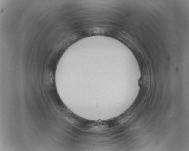 X0000062670555200601181903