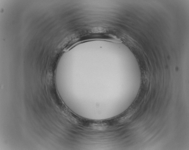 X0000062670556200601181903