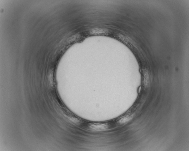 X0000062670557200601181903