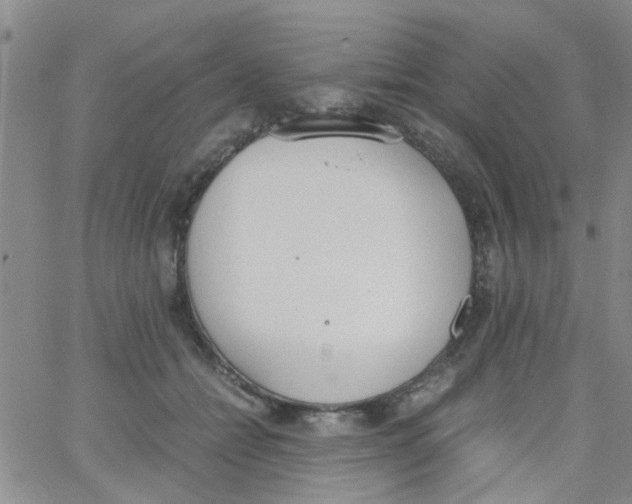 X0000062670558200601181903