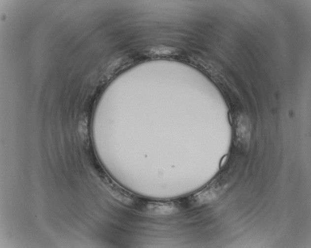 X0000062670559200601181903