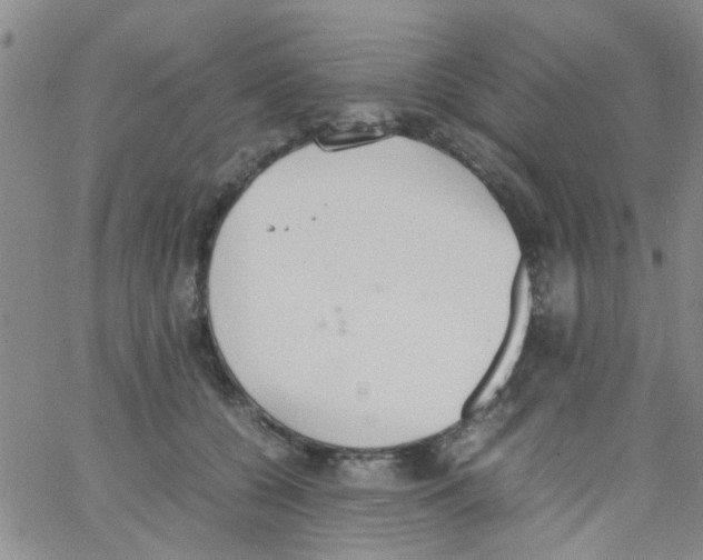 X0000062670560200601181903