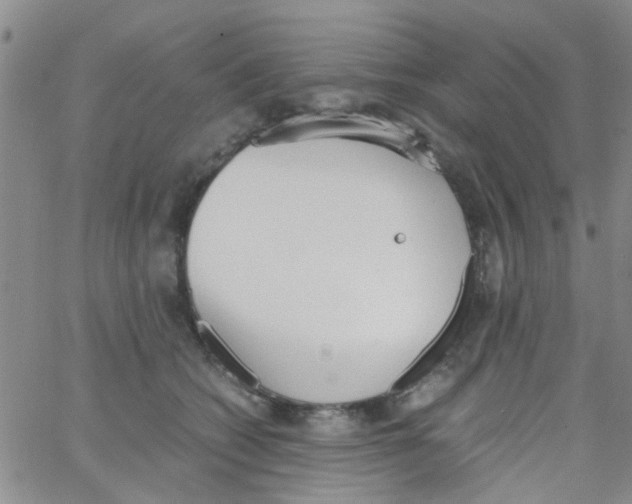 X0000062670562200601181903