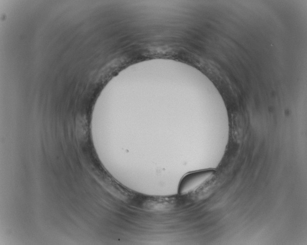 X0000062670563200601181903