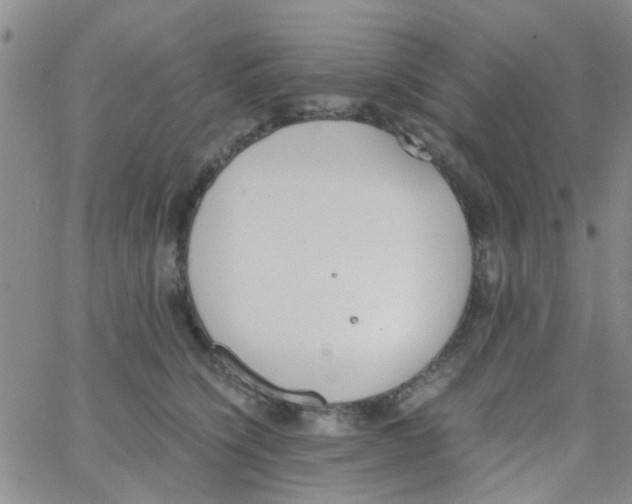 X0000062670564200601181903